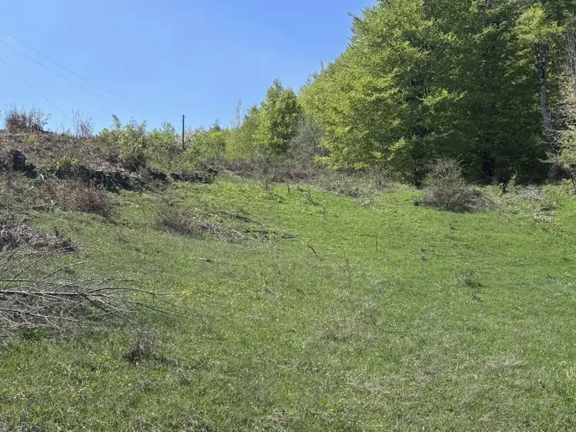 Land 1m² in Montenegro, Kolasin. Priced at 105000€ rent photo-8