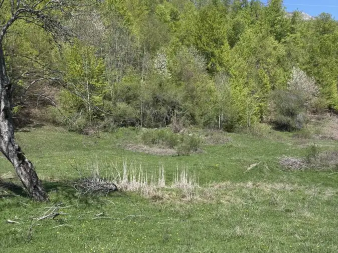 Land 1m² in Montenegro, Kolasin. Priced at 105000€ rent photo-9