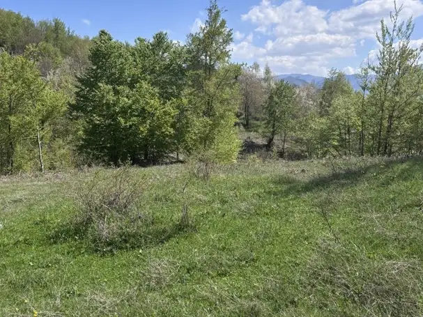 Land 1m² in Montenegro, Kolasin. Priced at 105000€ rent photo-11