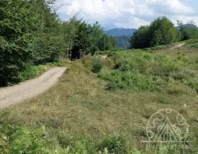 Buy in Montenegro for 105000€