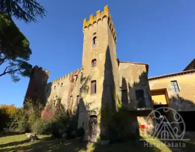 Buy in Italy for 7131868$