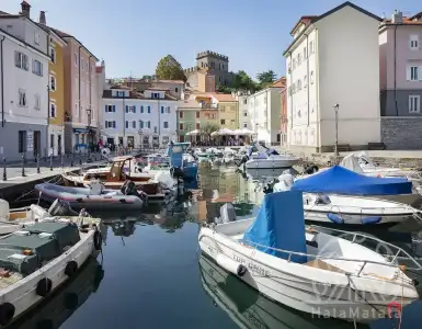 Buy in Italy for 3962149$