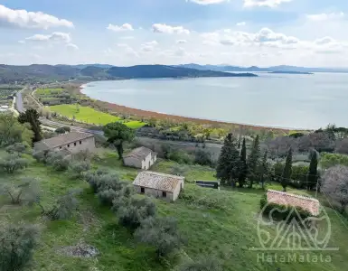 Buy in Italy for 2830106$