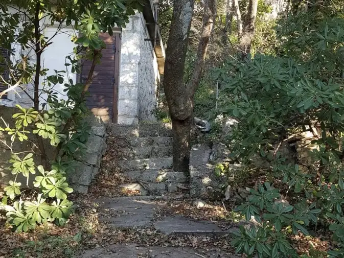 House 45m² in Montenegro, Ratac. Priced at 80000€ rent photo-2