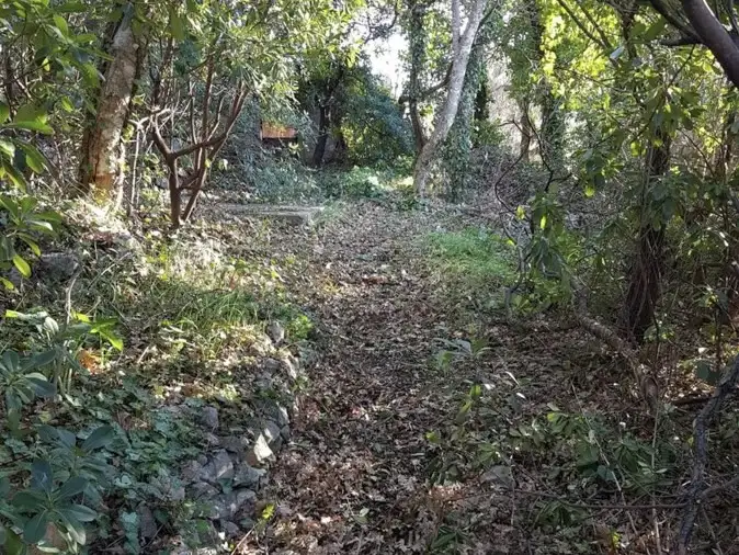 House 45m² in Montenegro, Ratac. Priced at 80000€ rent photo-5
