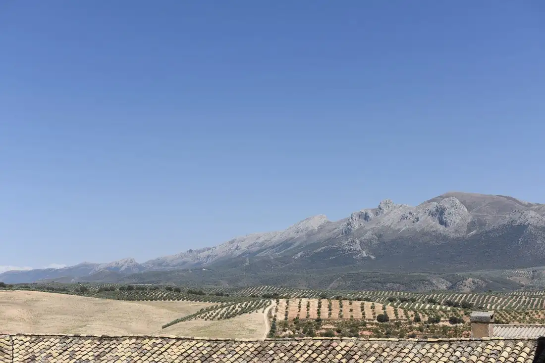 Castle 2603m² in Spain, Centro. Priced at 3365658$ rent photo-2