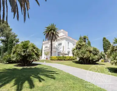 Buy in Spain for 11066742$