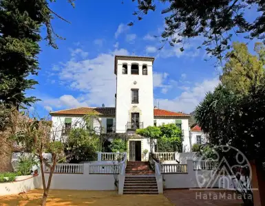 Buy in Spain for 3983764$