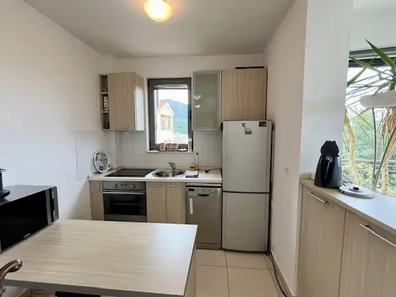 Flat 55m² in Montenegro, Becici. Priced at 145000€ rent photo-4