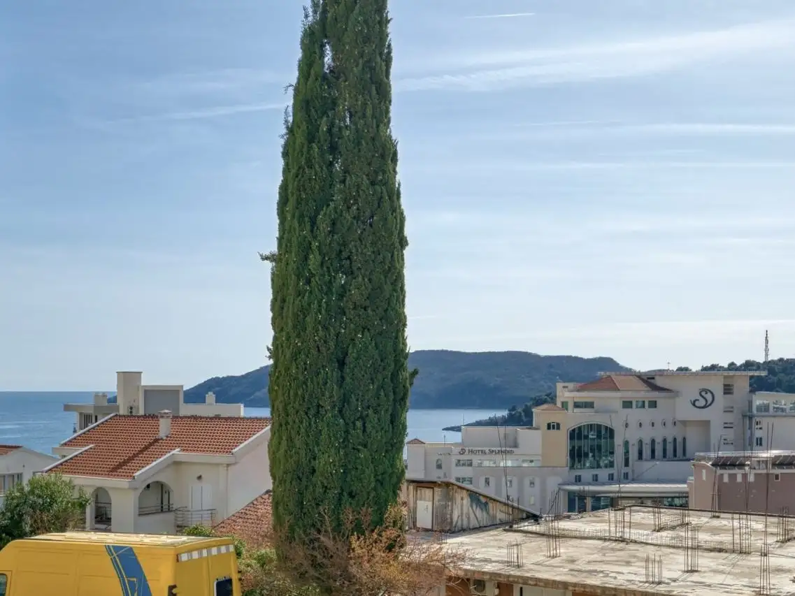 Flat 23m² in Montenegro, Becici. Priced at 80000€ rent photo-6