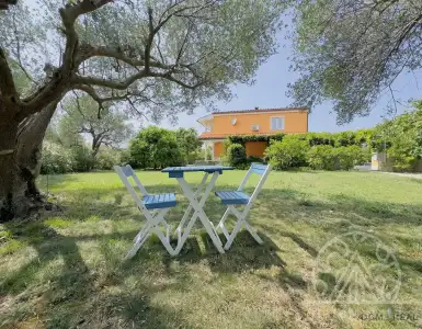 Buy in Slovenia for 1650000€