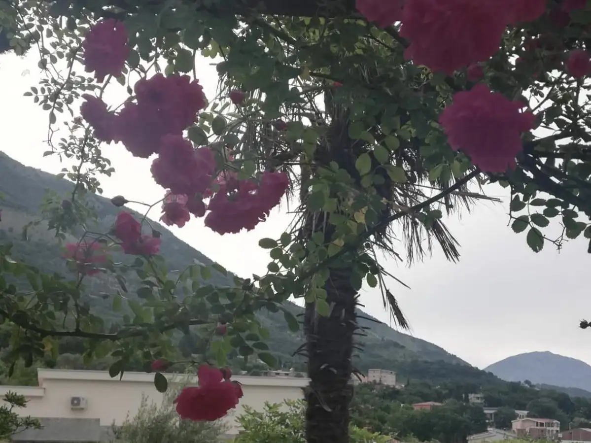 House 60m² in Montenegro, Sutomore. Priced at 95000€ rent photo-7