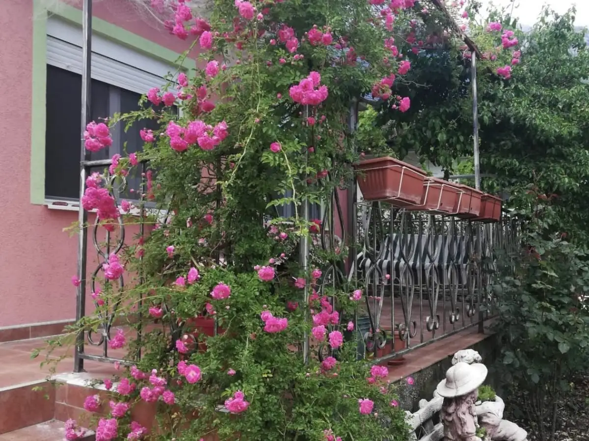 House 60m² in Montenegro, Sutomore. Priced at 95000€ rent photo-18