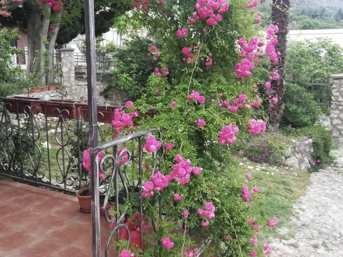 House 60m² in Montenegro, Sutomore. Priced at 95000€ rent photo-25