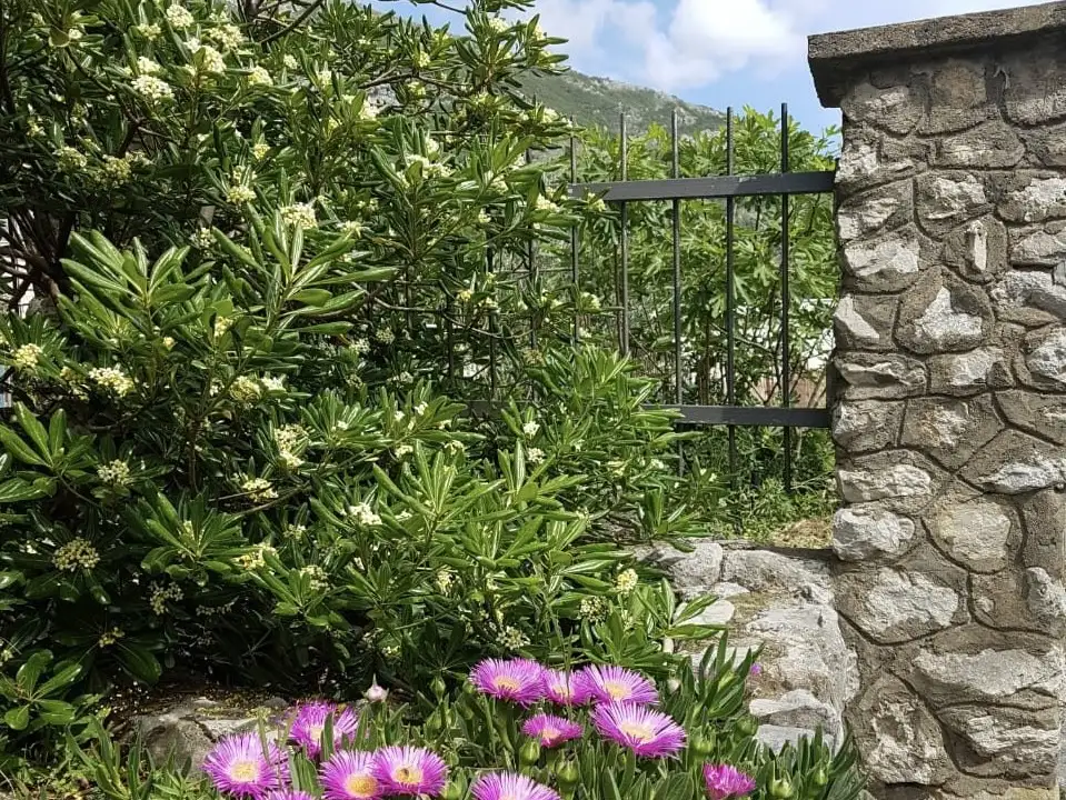 House 60m² in Montenegro, Sutomore. Priced at 95000€ rent photo-30
