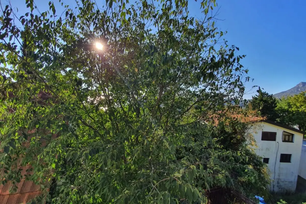 House 144m² in Montenegro, Sutomore. Priced at 100000€ rent photo-3
