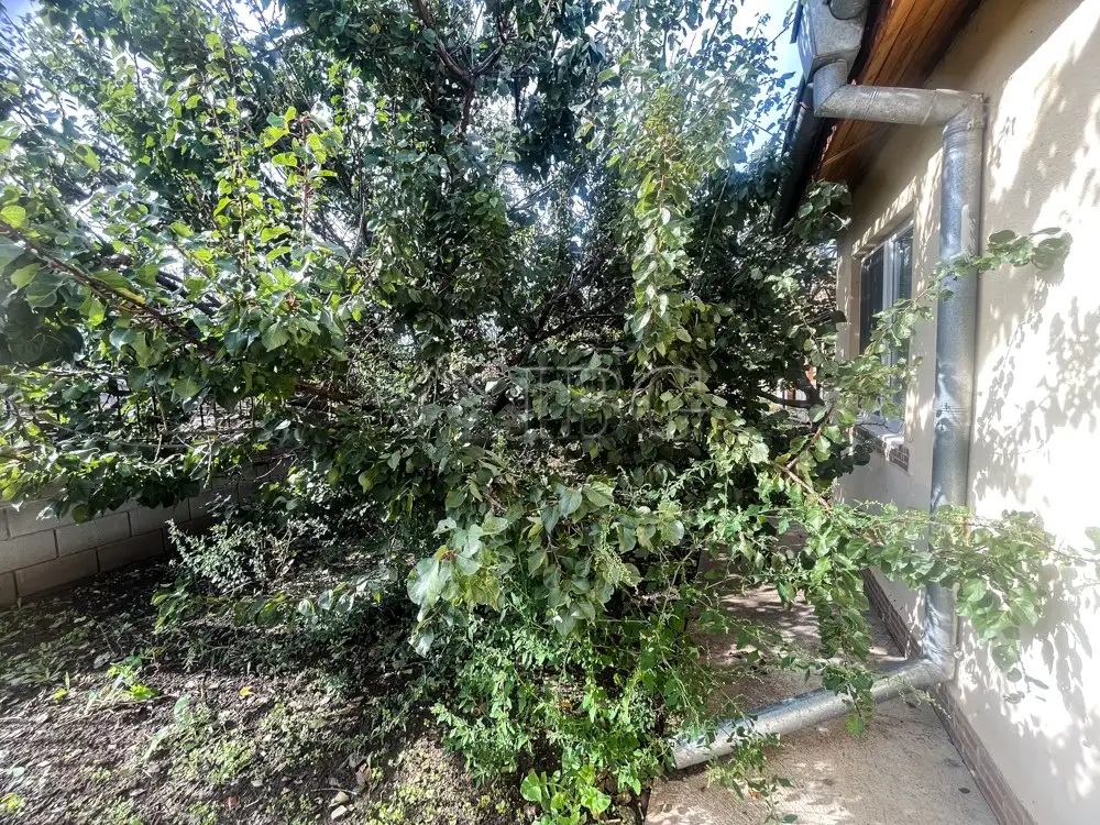 House 100m² in Bulgaria, Kavarna. Priced at 65000€ rent photo-15