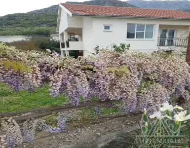 Buy in Montenegro for 185000€