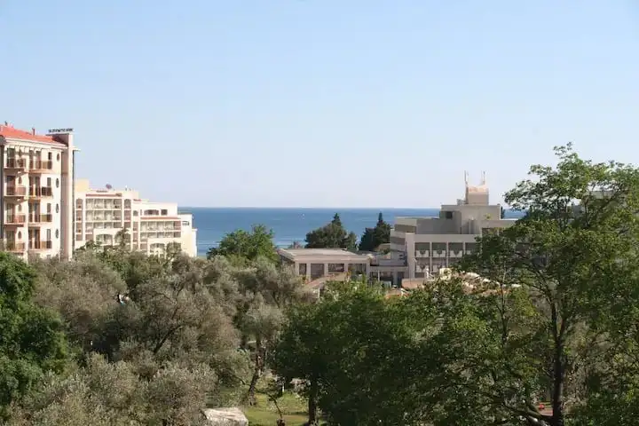 Flat 63m² in Montenegro, Becici. Priced at 120000€ rent photo-8