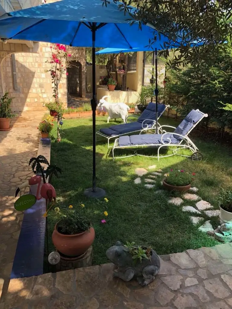 Hotels 600m² in Montenegro, Dobra Voda. Priced at 490000€ rent photo-15