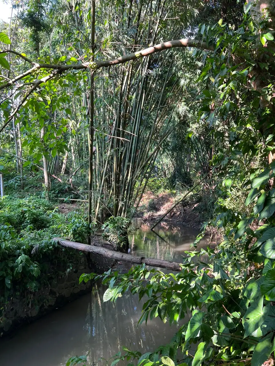Land 675m² in Indonesia, Canggu. Priced at 115000$ rent photo-9