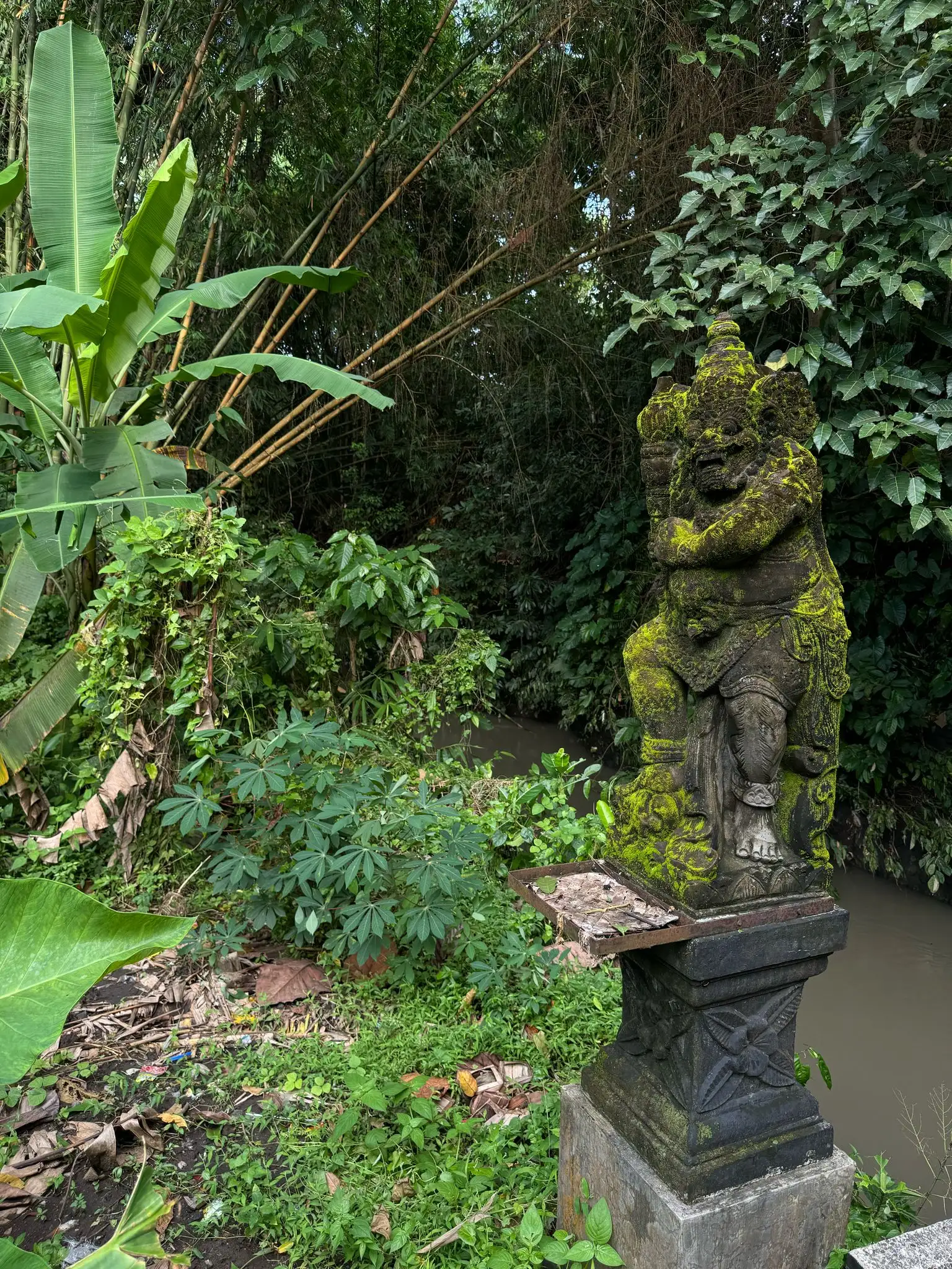 Land 675m² in Indonesia, Canggu. Priced at 115000$ rent photo-10