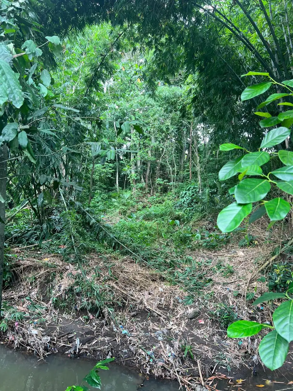 Land 675m² in Indonesia, Canggu. Priced at 115000$ rent photo-11