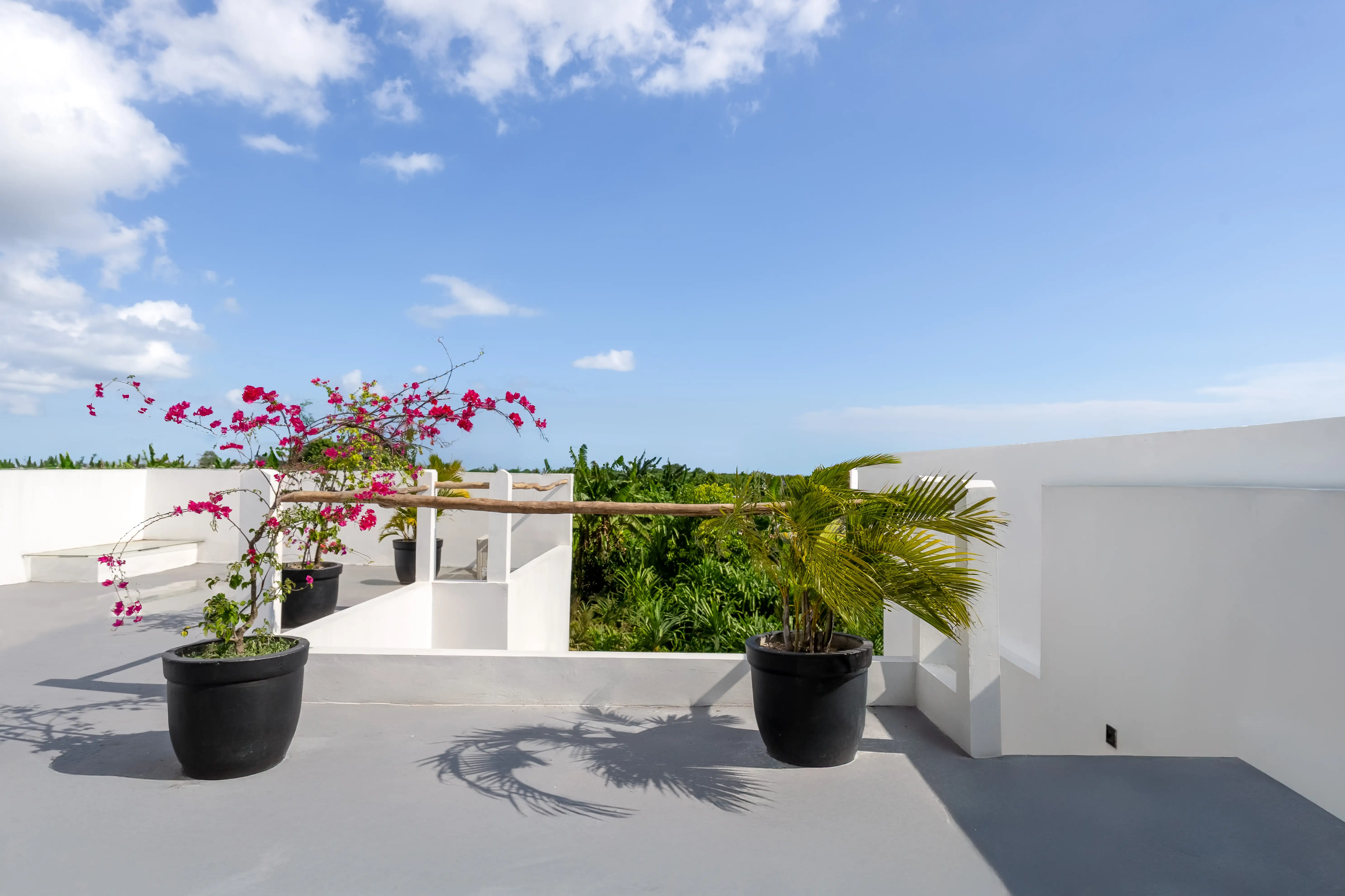 Villa 100m² in Indonesia, Canggu. Priced at 170000$ rent photo-2