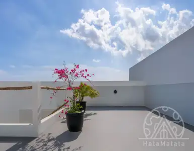 Buy in Indonesia for 170000$