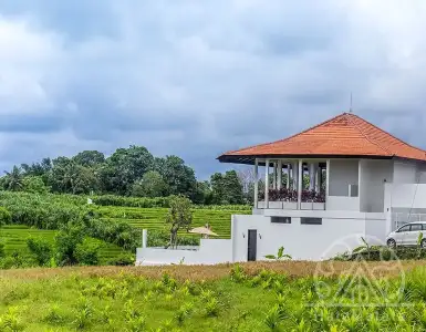 Rent in Indonesia for 42590$