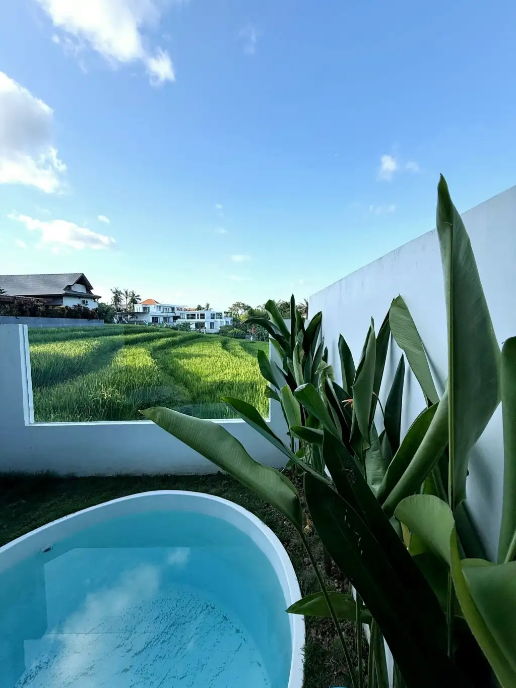 Villa 41m² in Indonesia, Canggu. Priced at 14000$ rent photo-2