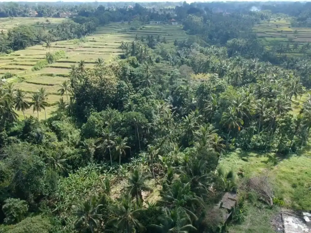 Land 0m² in Indonesia, Ubud. Priced at 408225$ rent photo-1