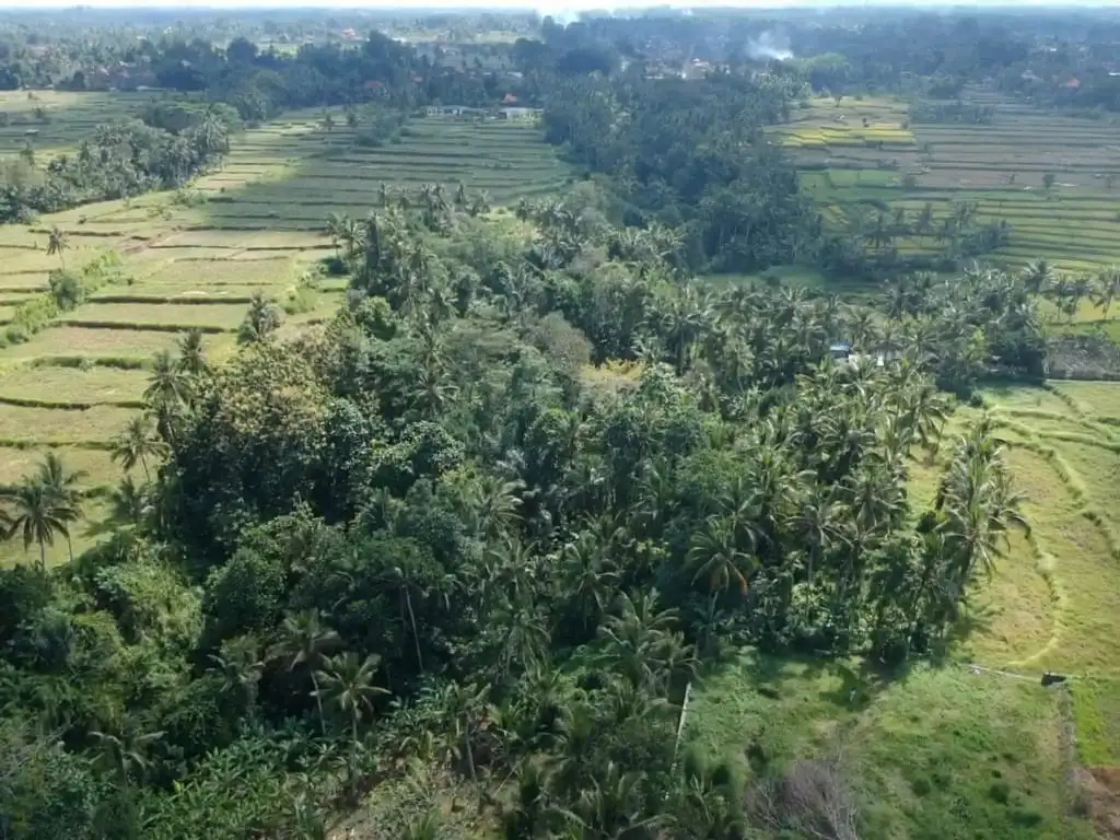 Land 0m² in Indonesia, Ubud. Priced at 408225$ rent photo-2