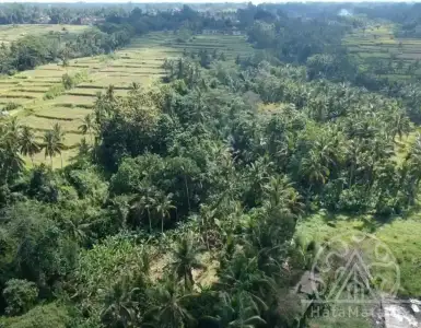 Buy in Indonesia for 408225$