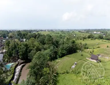 Buy in Indonesia for 424300$