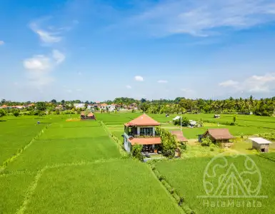 Rent in Indonesia for 18200$