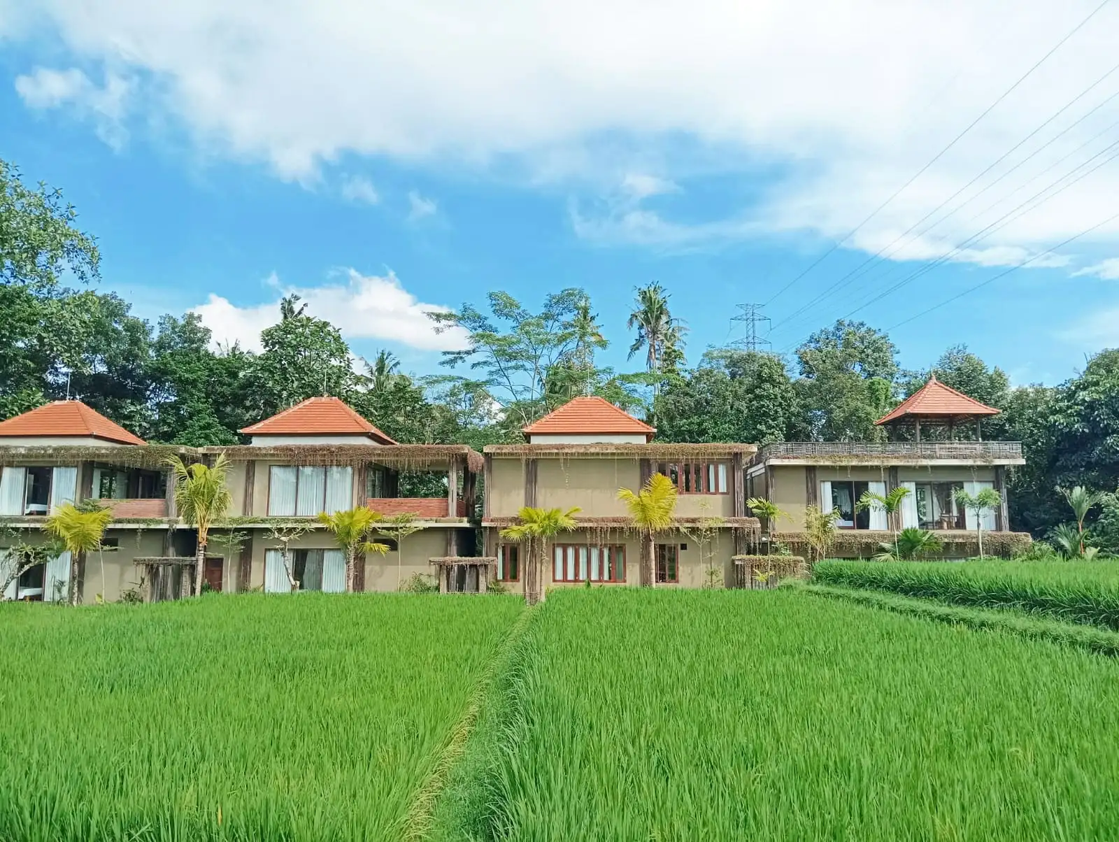 Villa 142m² in Indonesia, Ubud. Priced at 250000$ rent photo-9