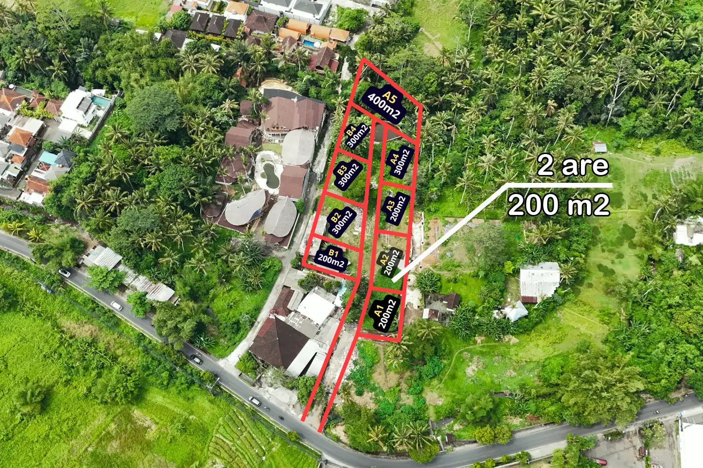 Land 0m² in Indonesia, Ubud. Priced at 77200$ rent photo-4