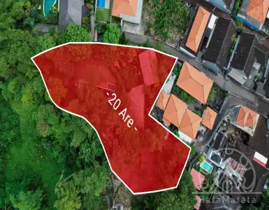 Buy in Indonesia for 306748$