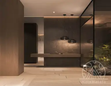 Buy in Indonesia for 350000$