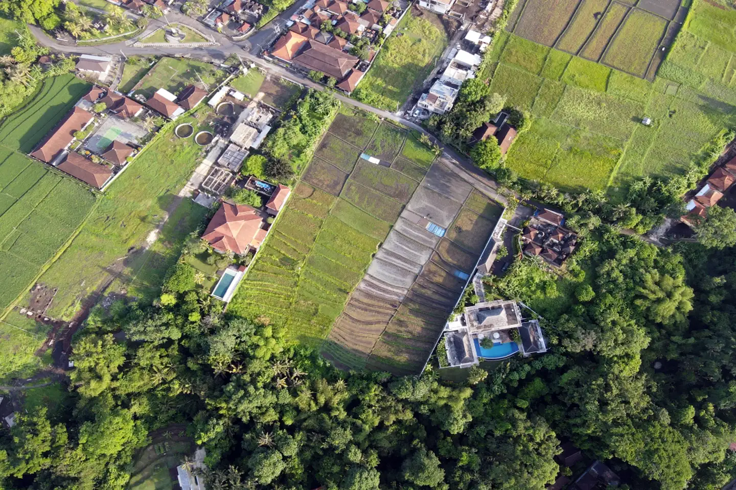 Land 0m² in Indonesia, Tabanan. Priced at 612840$ rent photo-4