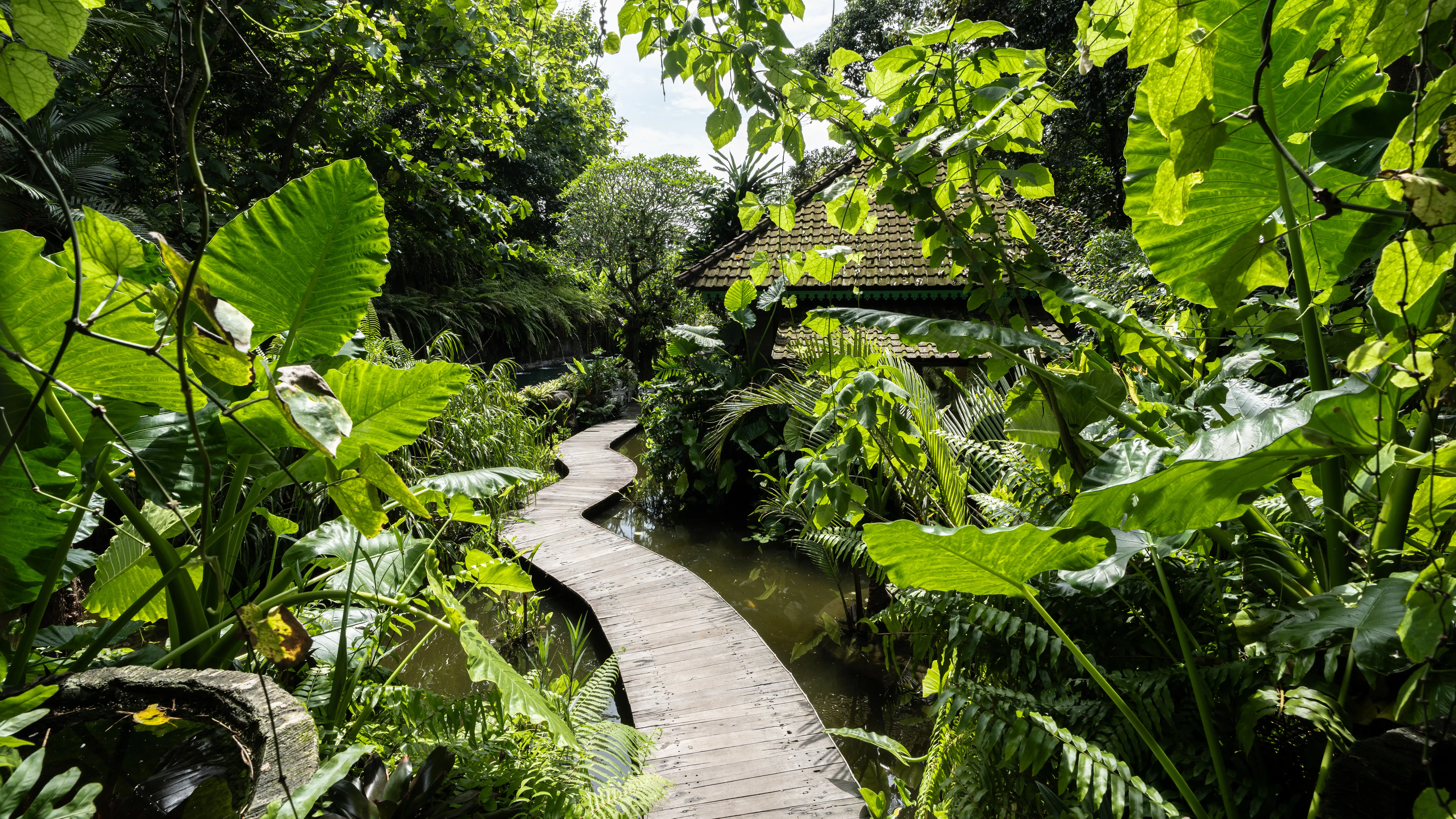 Other Properties 875m² in Indonesia, Tabanan. Priced at 2370000$ rent photo-24