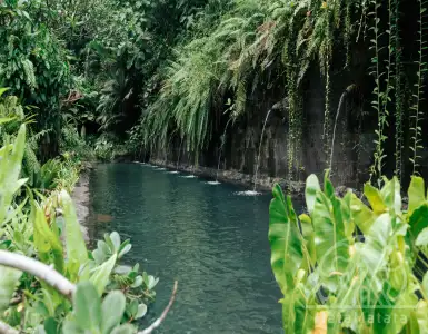Rent in Indonesia for 2370000$