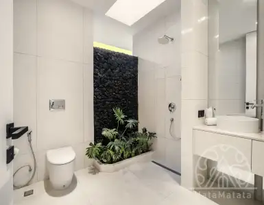 Buy in Indonesia for 250000$