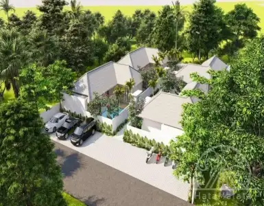Buy in Indonesia for 275000$