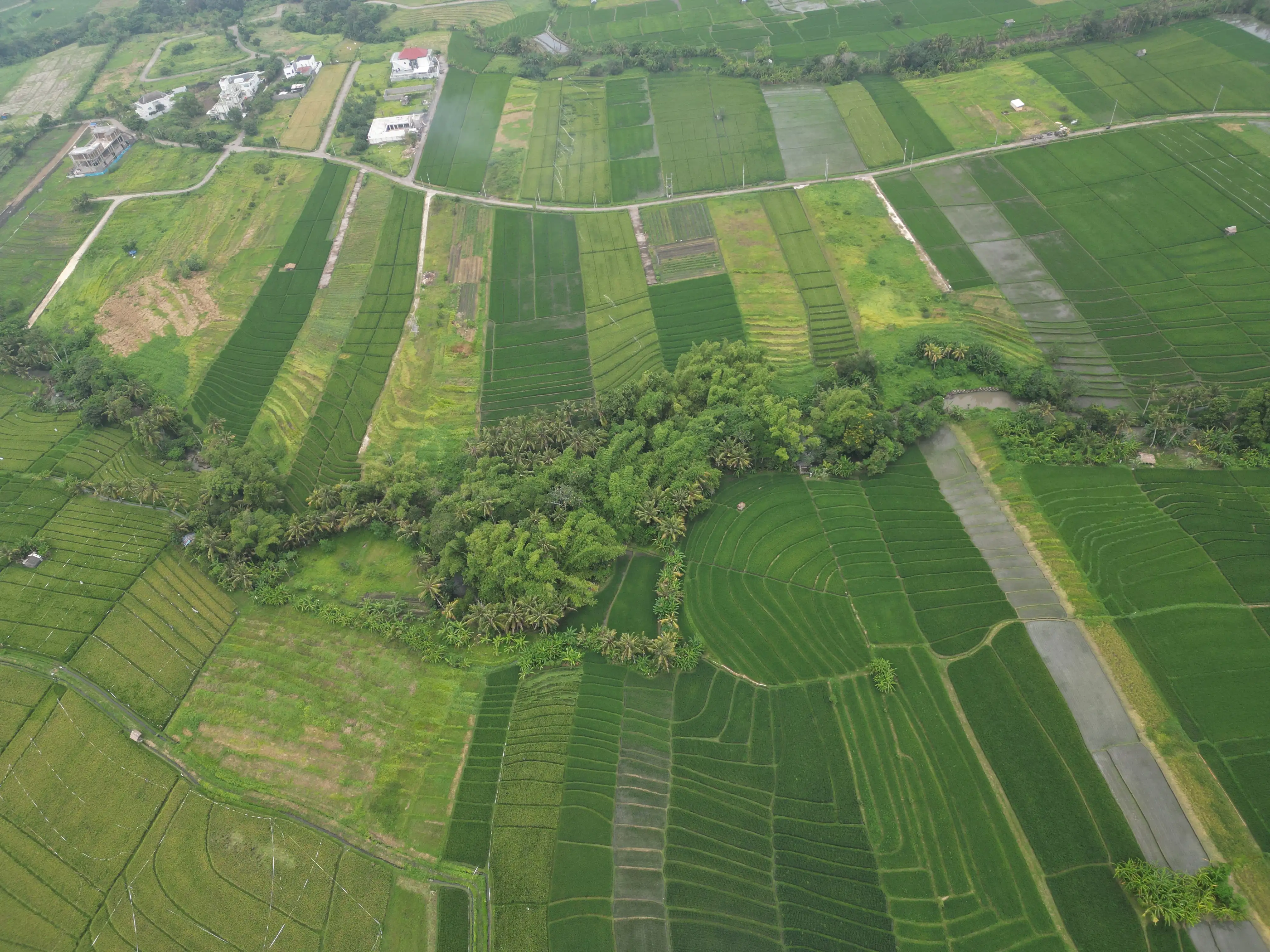 Land 0m² in Indonesia, Kedungu. Priced at 1073066$ rent photo-1