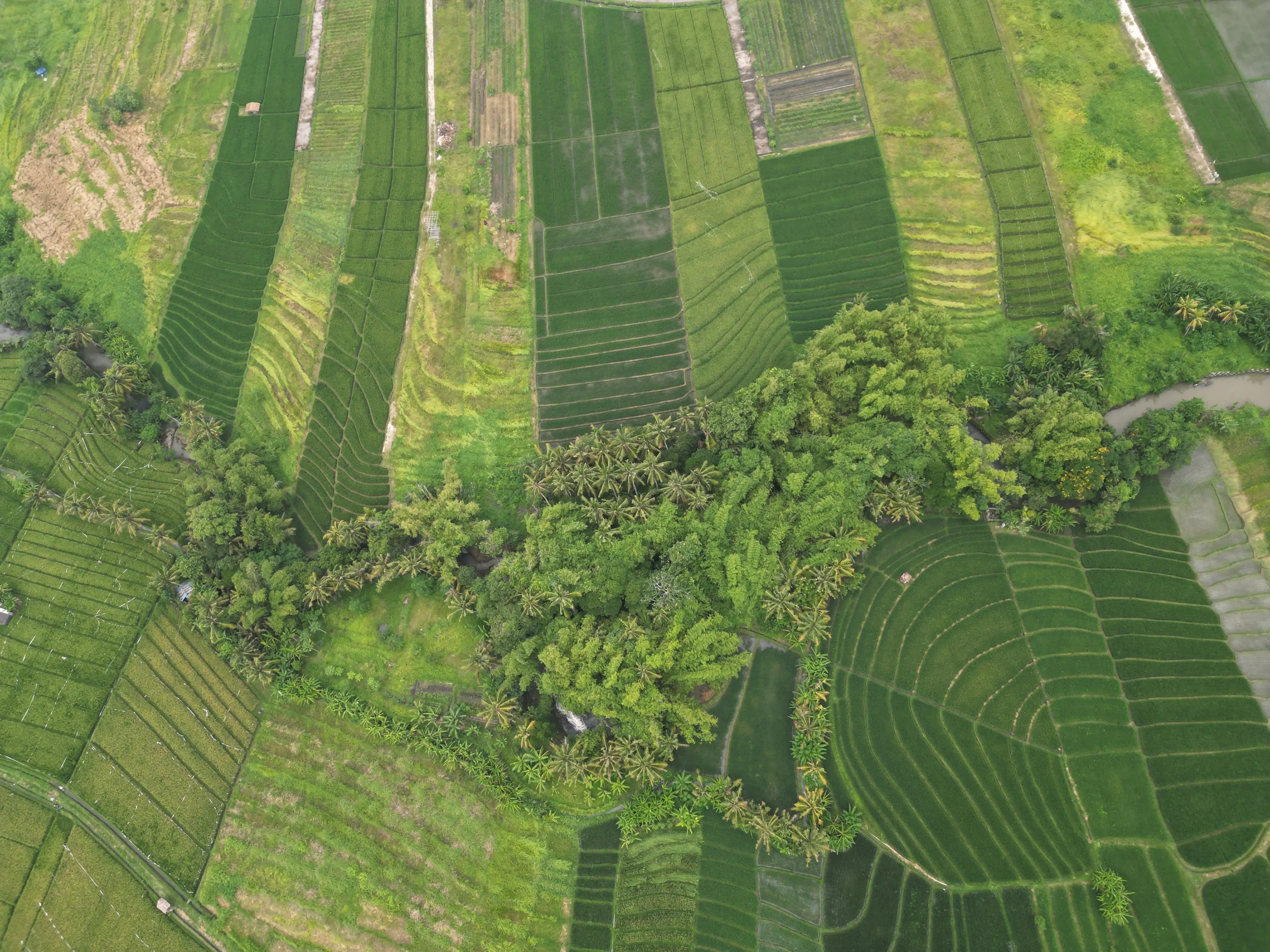 Land 0m² in Indonesia, Kedungu. Priced at 1073066$ rent photo-2