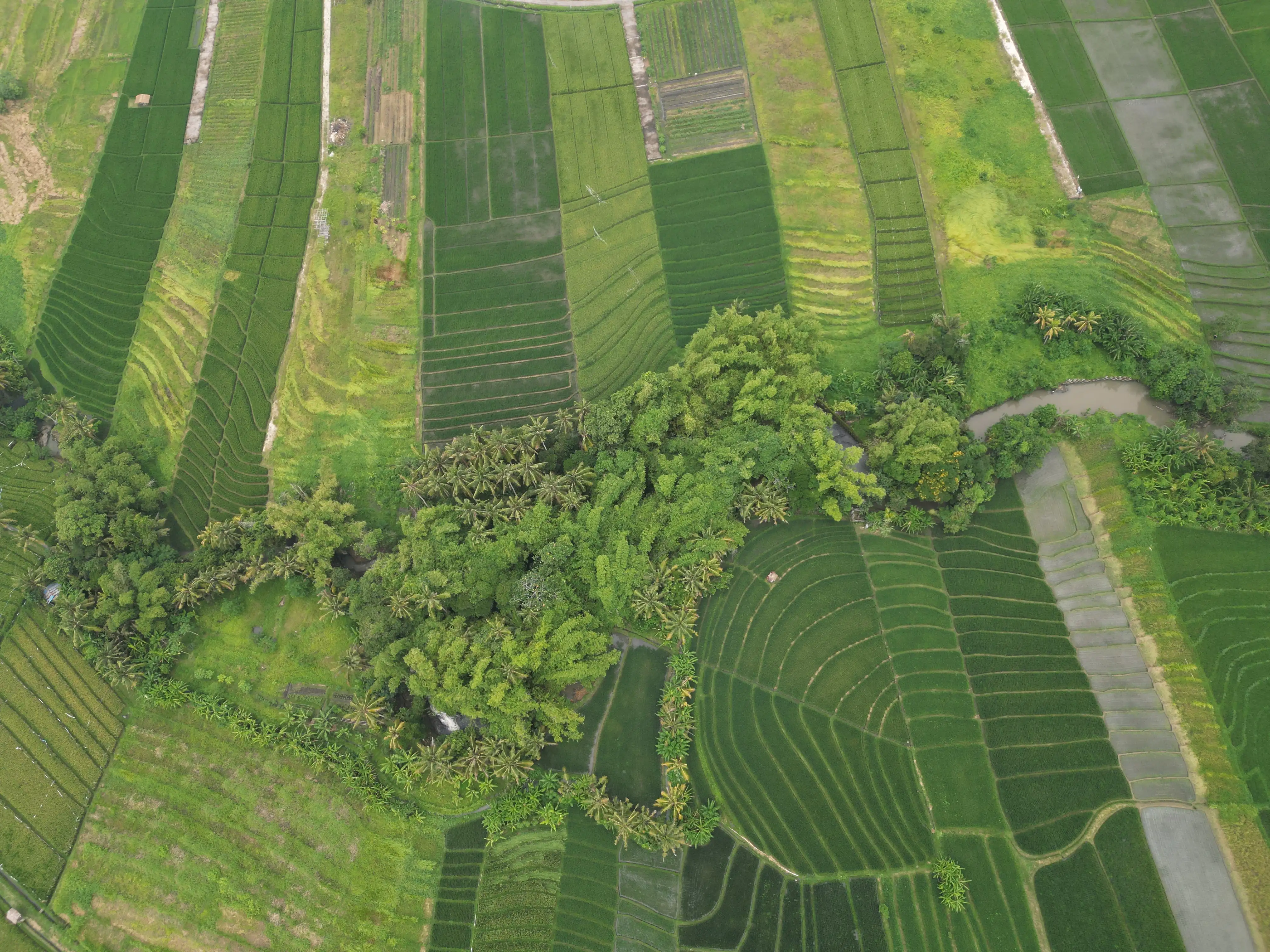 Land 0m² in Indonesia, Kedungu. Priced at 1073066$ rent photo-4
