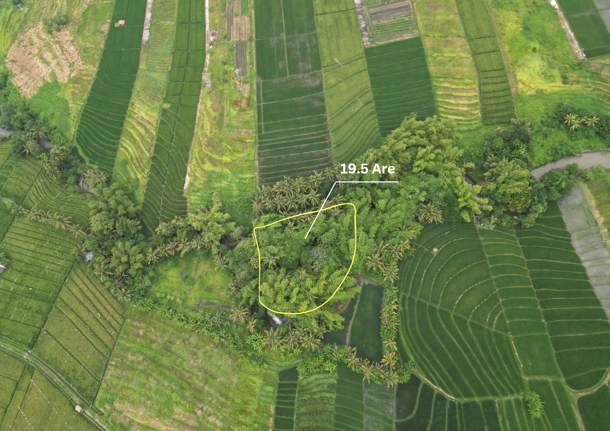 Land 0m² in Indonesia, Kedungu. Priced at 1073066$ rent photo-6