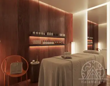 Buy in Indonesia for 106500$